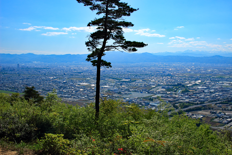 大岡山