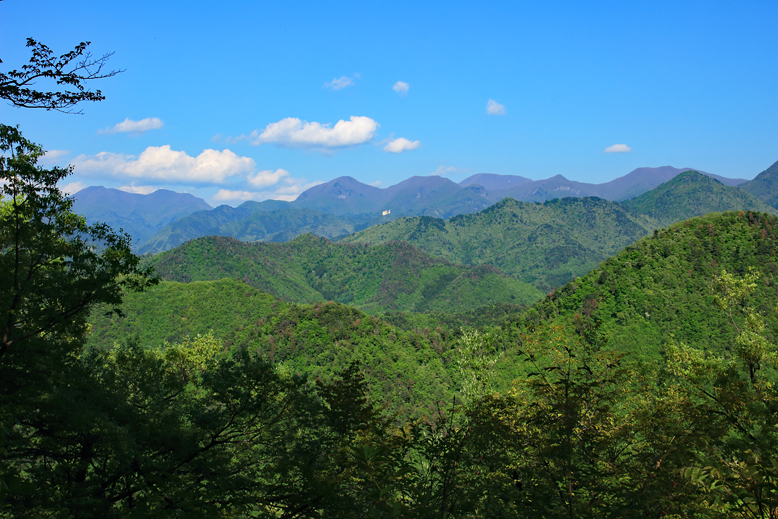 大岡山