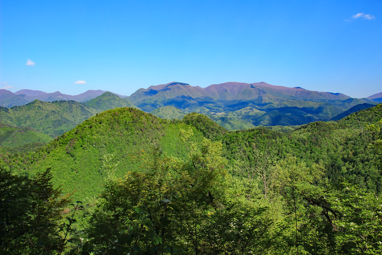 大岡山