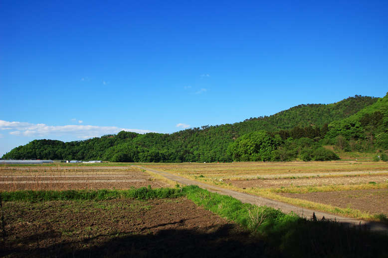 大岡山