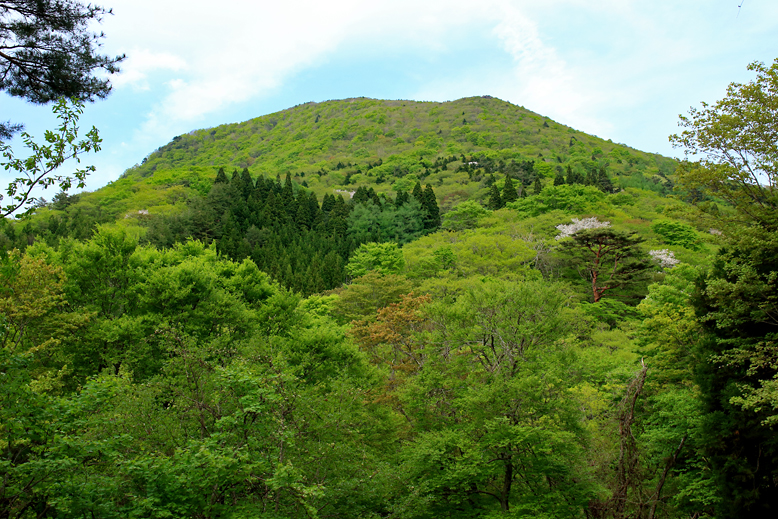 ハマグリ山