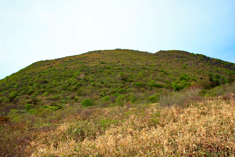 ハマグリ山