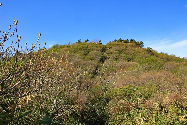 ハマグリ山