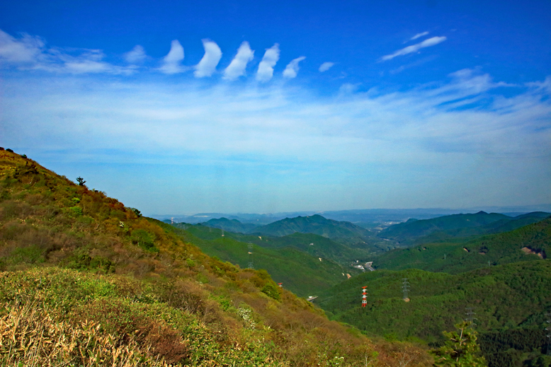 ハマグリ山