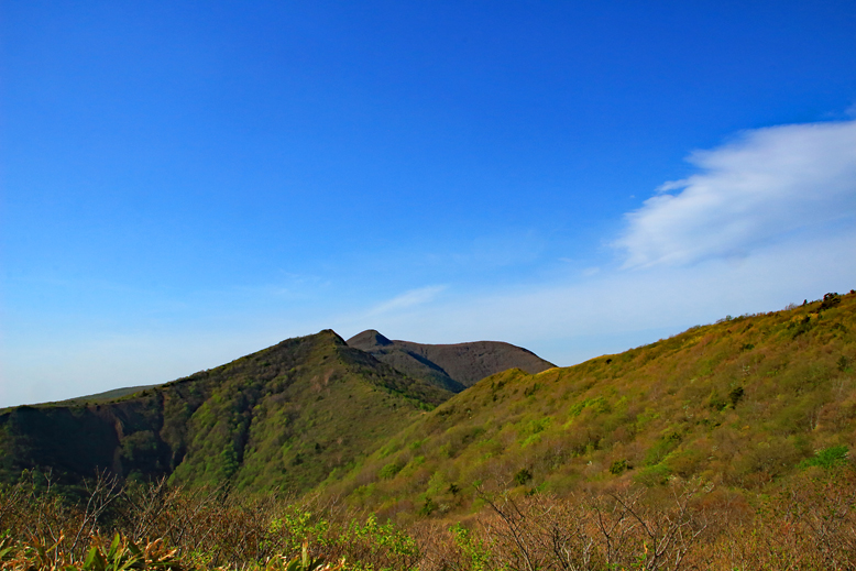 ハマグリ山