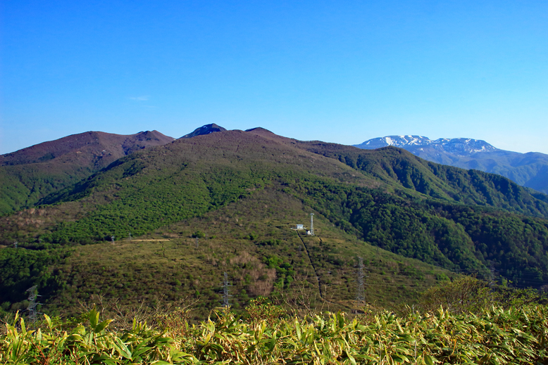 ハマグリ山