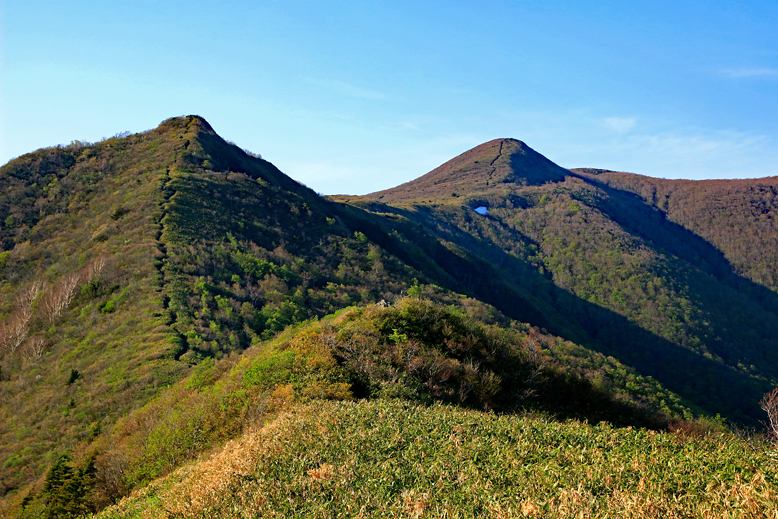 ハマグリ山