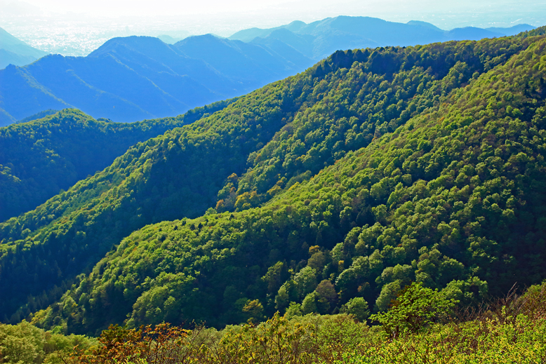 ハマグリ山