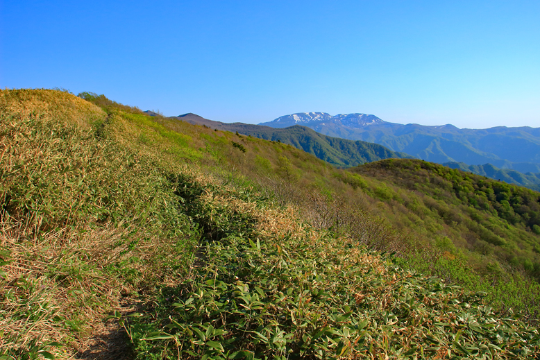 ハマグリ山