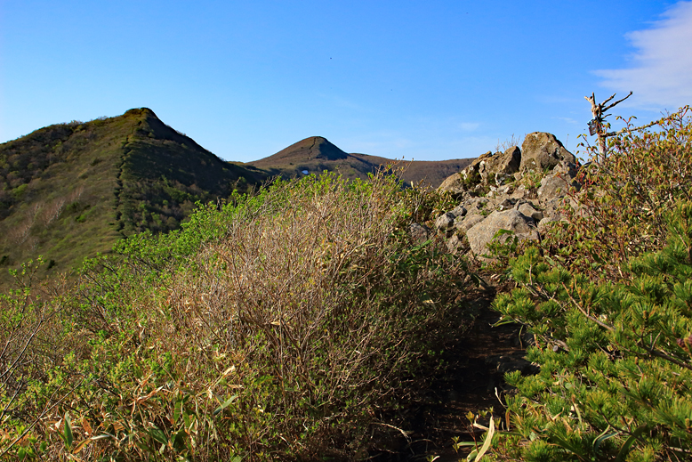 ハマグリ山
