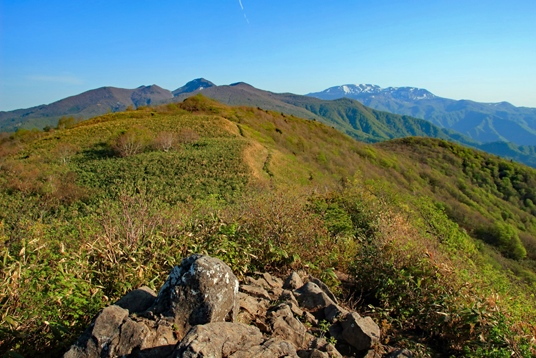 ハマグリ山