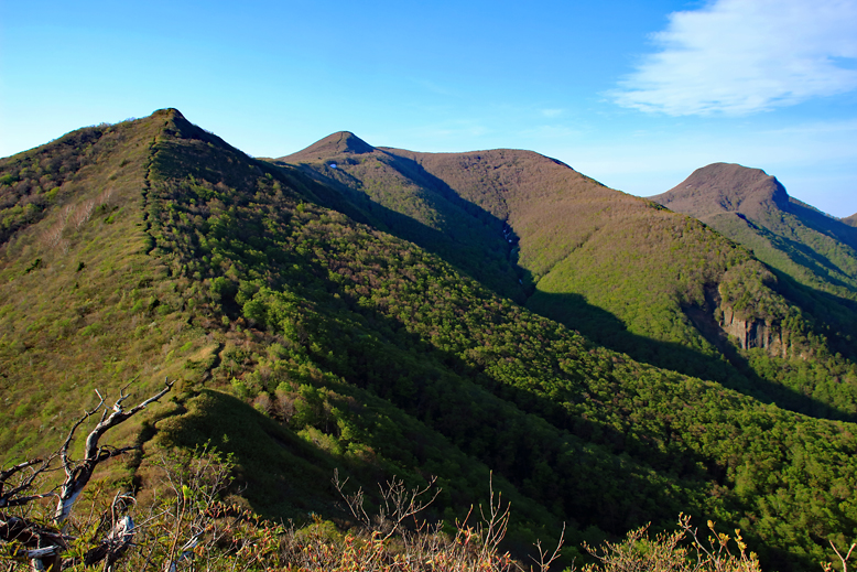 ハマグリ山