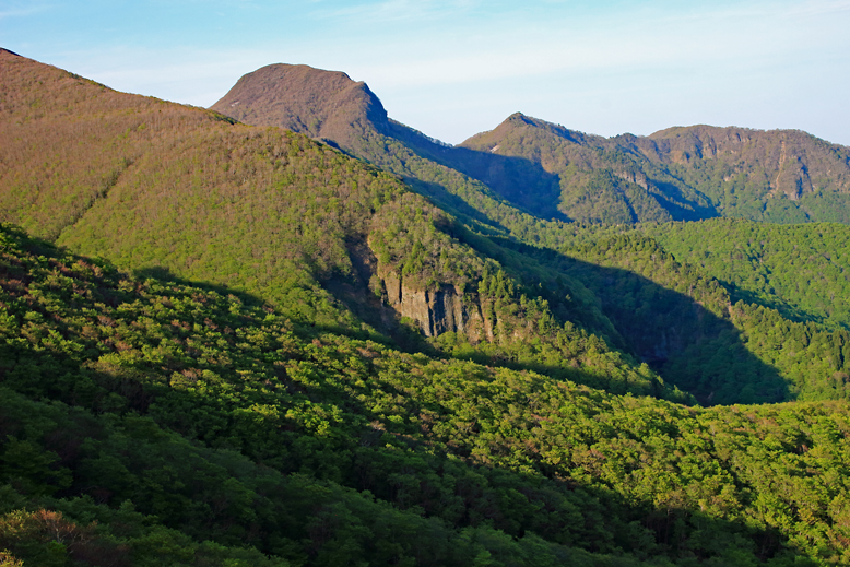 ハマグリ山