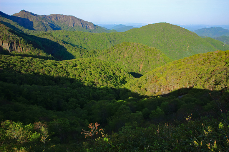 ハマグリ山