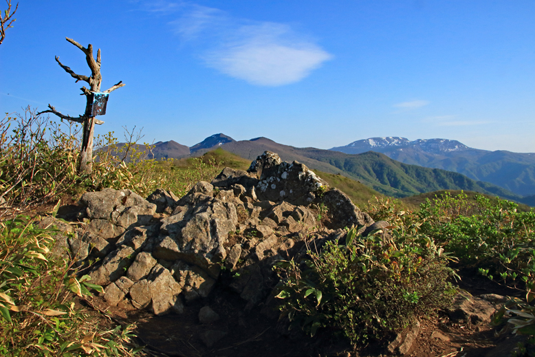 ハマグリ山