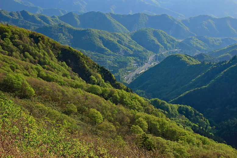 ハマグリ山