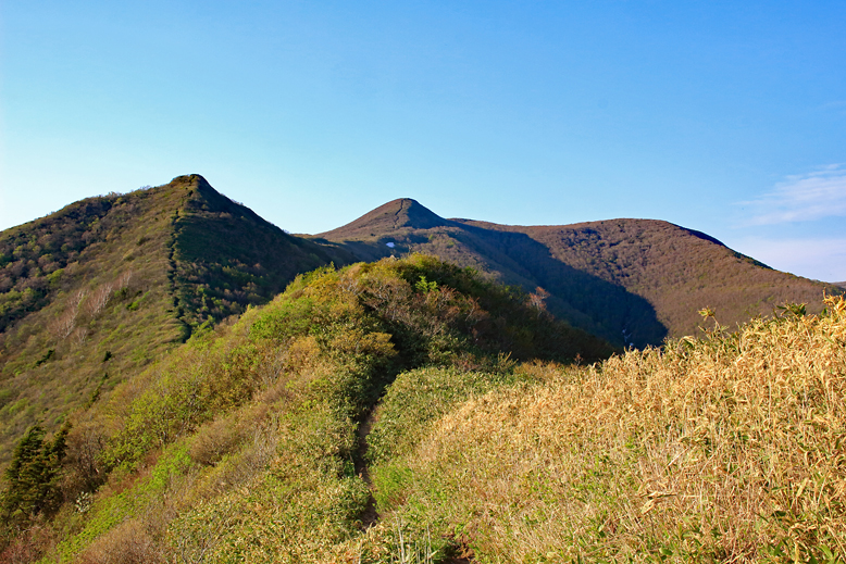 ハマグリ山