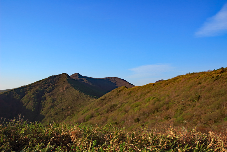 ハマグリ山