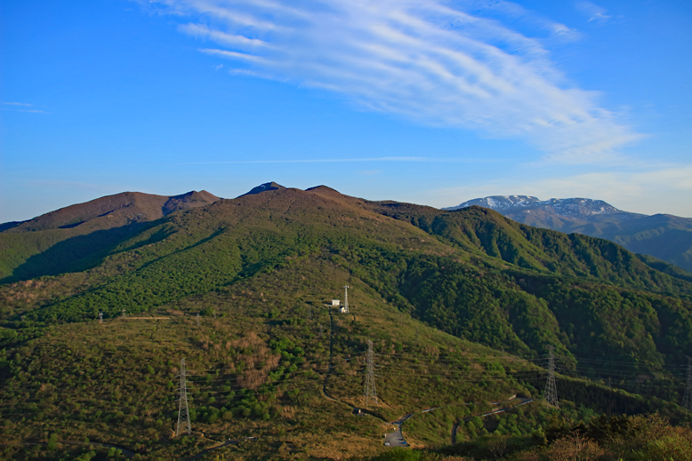 ハマグリ山