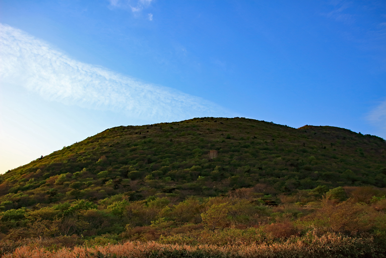 ハマグリ山