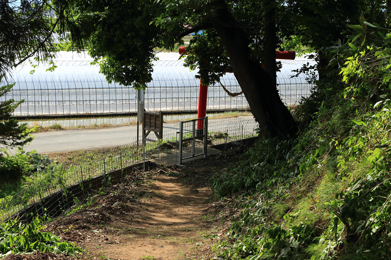 猪鼻山