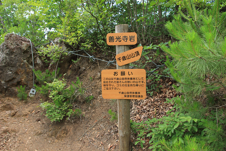 千歳山