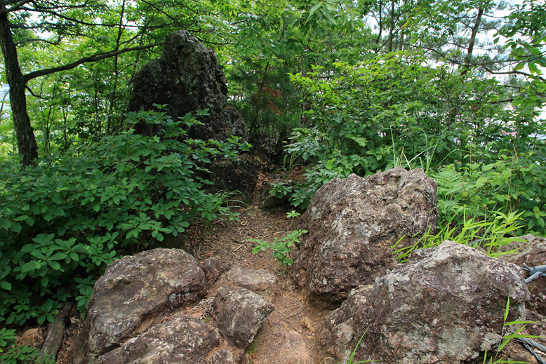 千歳山