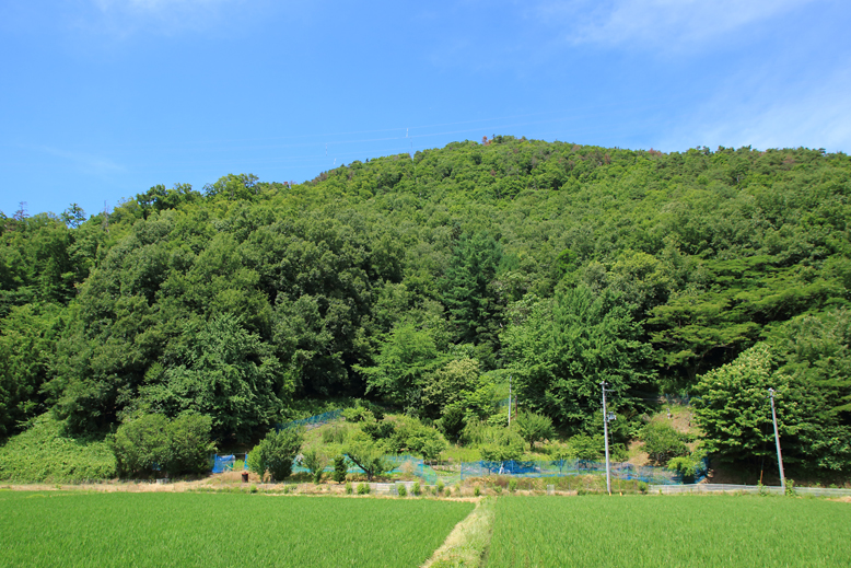 大森山