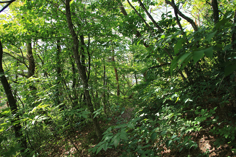 大森山