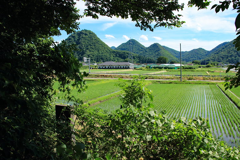 大森山
