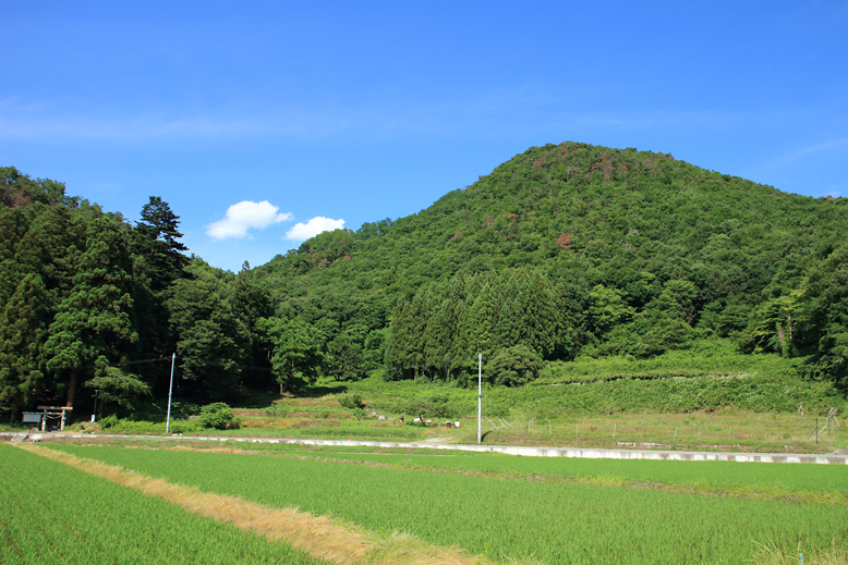 大森山