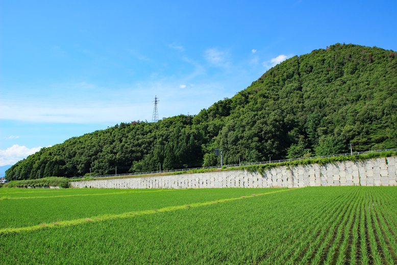 大森山
