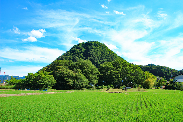 大森山