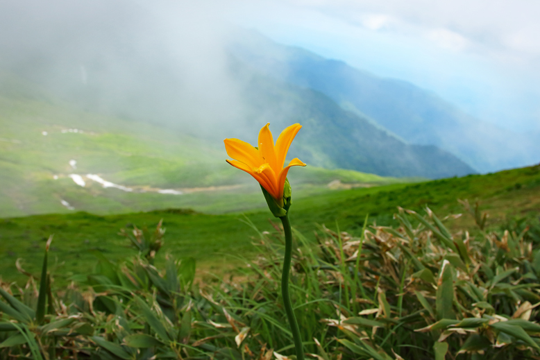 月山