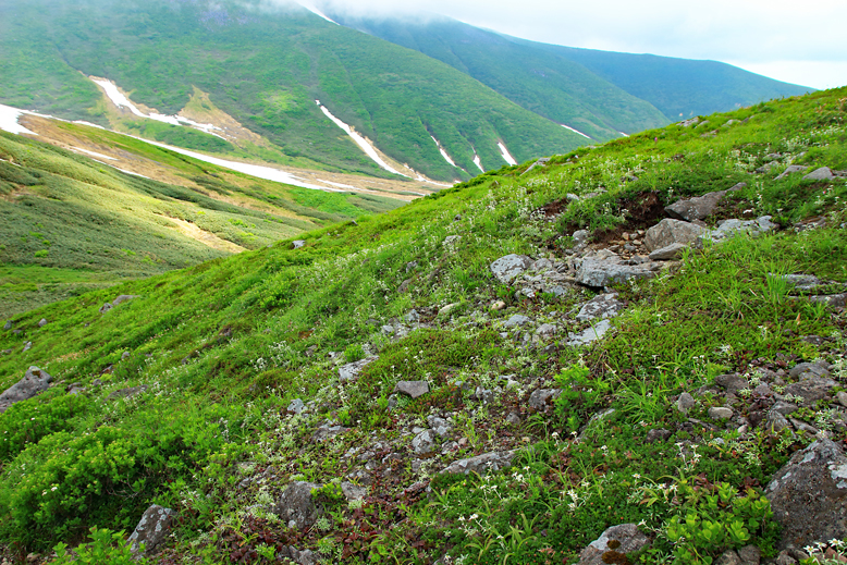 月山