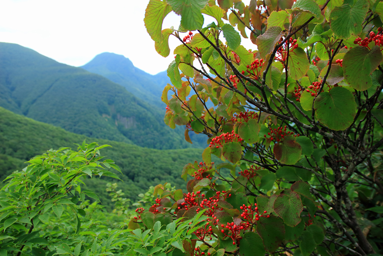 山形神室岳