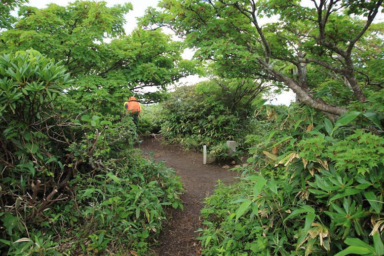 山形神室岳