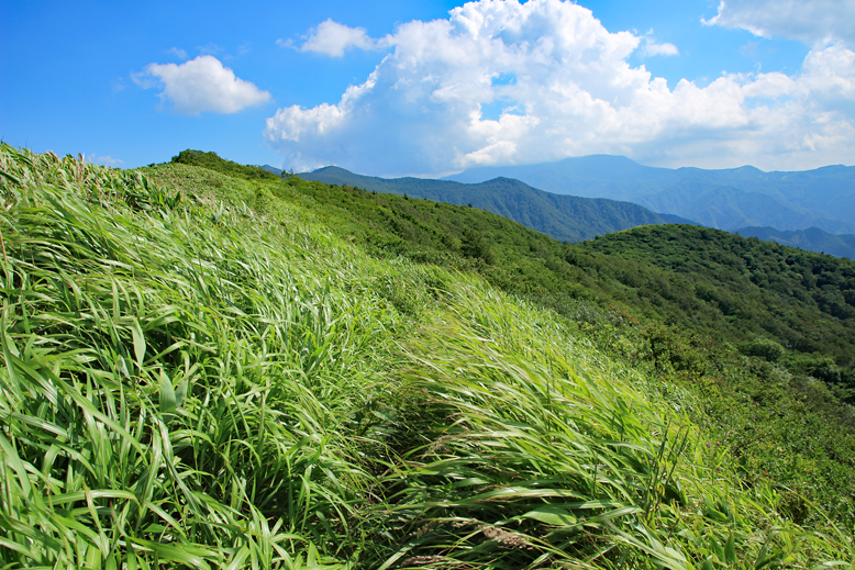 山形神室岳