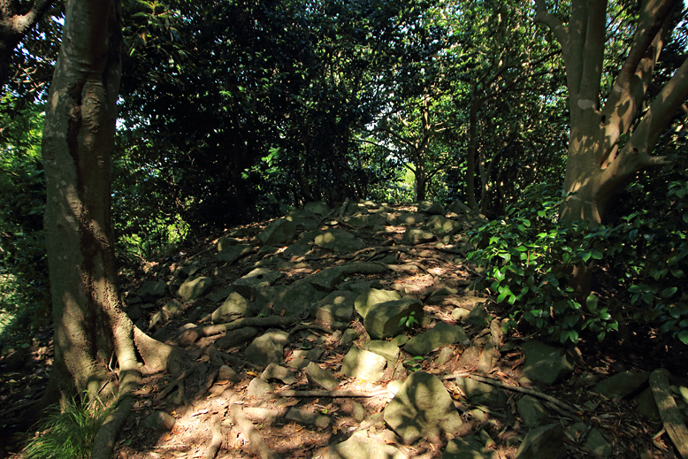 角田山