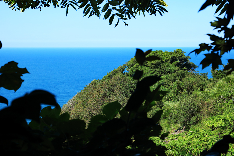 角田山