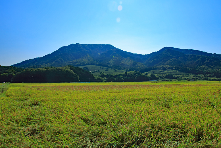 角田山