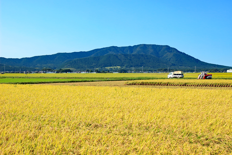 角田山