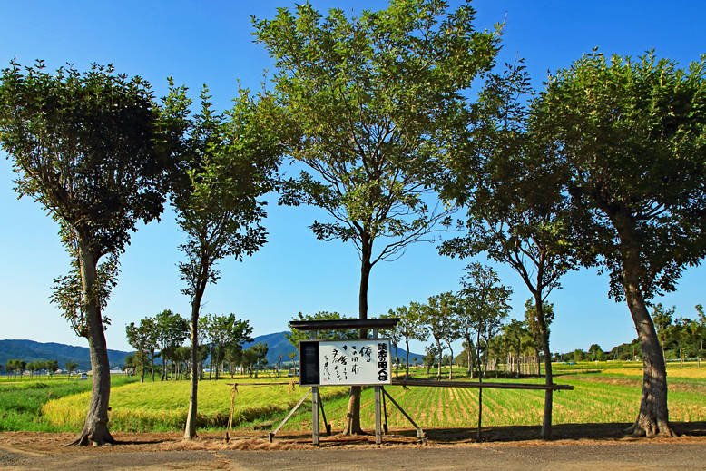 角田山