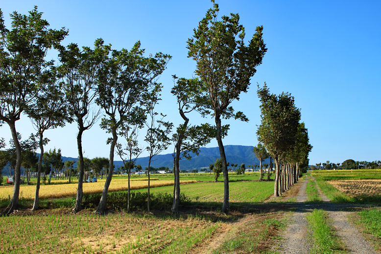 角田山