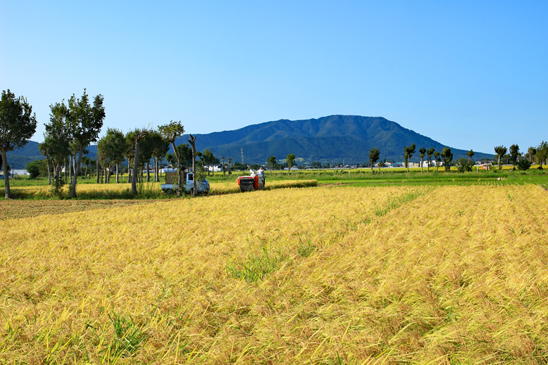 角田山