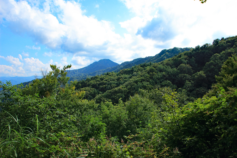 金峯山