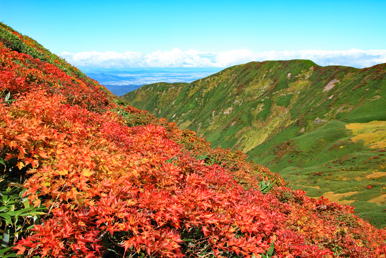 月山
