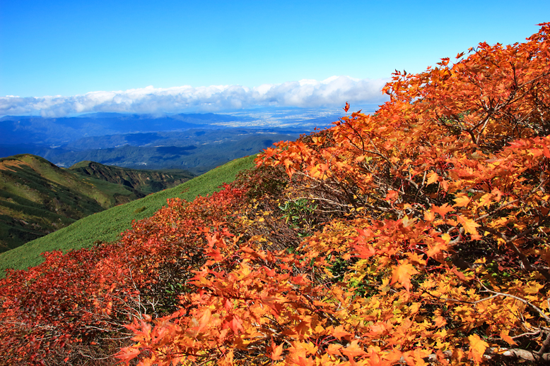 月山