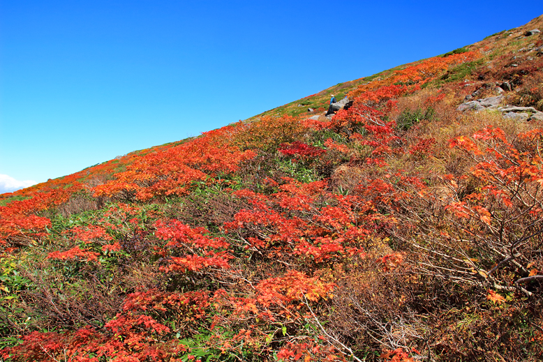 月山