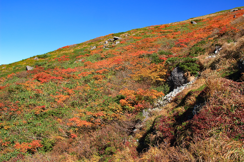 月山